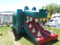 /album/fotogaleria-inicio/a1465250-737843776247442-803060606-n-jpg2/