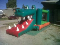 /album/juegos-inflables-/a1503401-250928755091947-2619266281948356069-n-jpg/